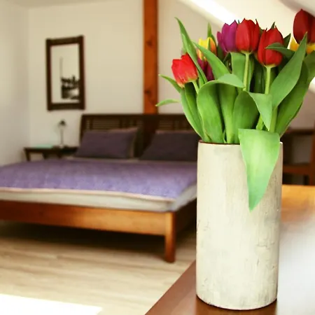 بيت ضيافة Trebonsky Třeboň