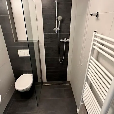 Trebonsky بيت ضيافة Třeboň