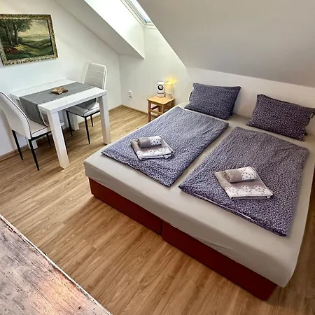 بيت ضيافة Trebonsky